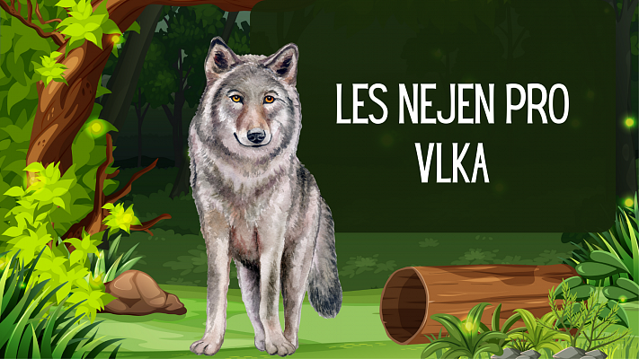 Les nejen pro vlka - úniková hra 7.-9. třída