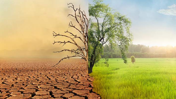 Planet in danger: The road to climate change